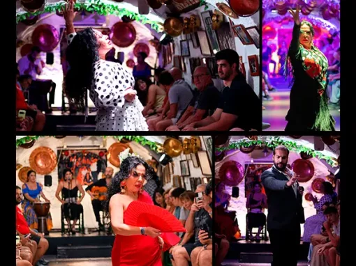 El flamenco que se vive hoy